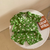 , Green, 120см, Зелений