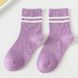 Шкарпетки дитячі однотонні з смужками Baby Socks (Фіолетовий 4-6 років ) 11764 фото