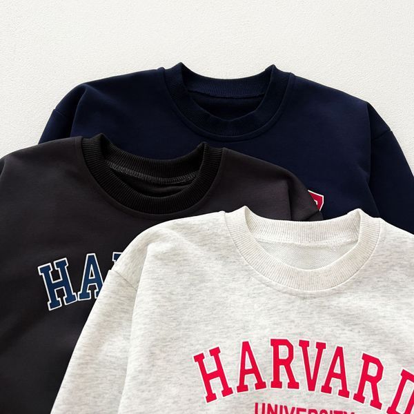 Дитячий костюм утеплений HARVARD AlwairKids Темно-синій 80см 35658 фото