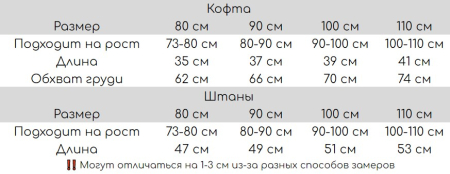 Костюм детский двойка теплый с мультяшным зверьком MMK Kids